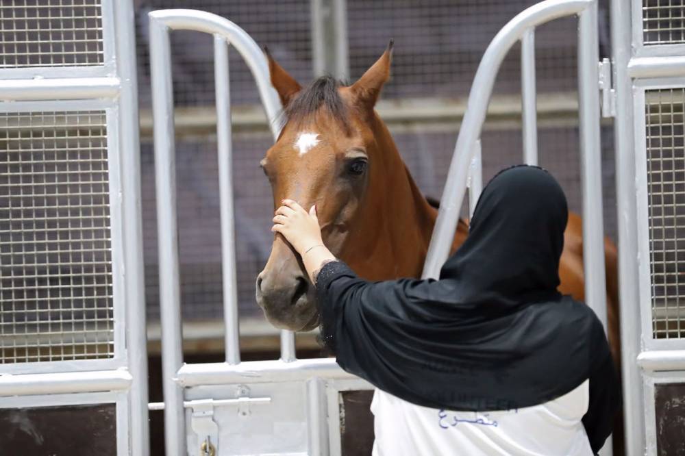 قفزة نوعية في فعاليات الفروسية يُحققها معرض أبوظبي الدولي للصيد 