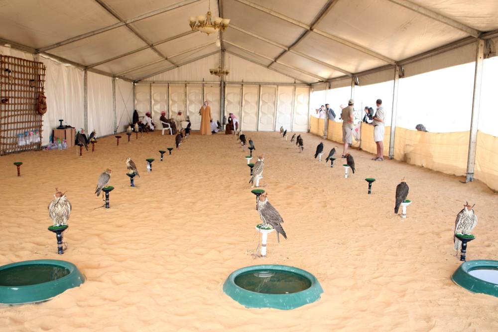 معرض أبوظبي الدولي للصيد والفروسية يُطلق مُسابقة أجمل وأفضل وكر تقليدي للصقور