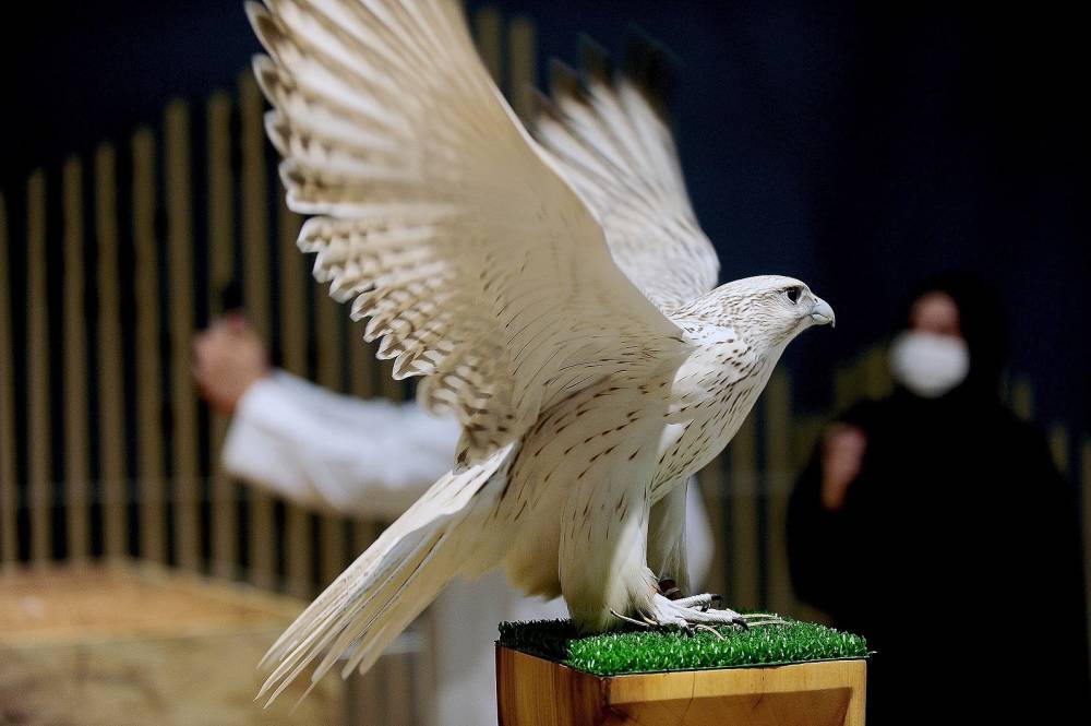 معرض أبوظبي الدولي للصيد والفروسية يُطلق مُسابقة أجمل وأفضل وكر تقليدي للصقور