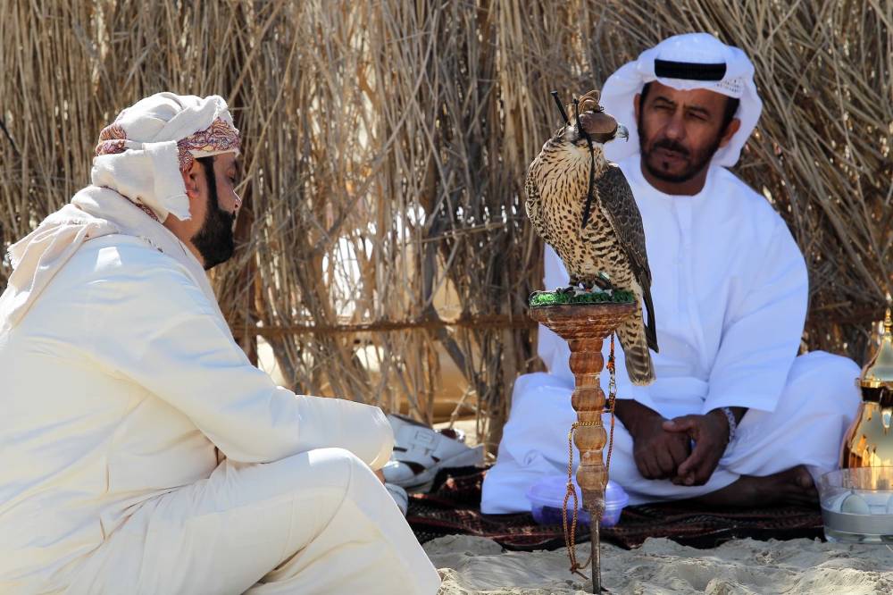 معرض أبوظبي الدولي للصيد والفروسية يُطلق مُسابقة أجمل وأفضل وكر تقليدي للصقور