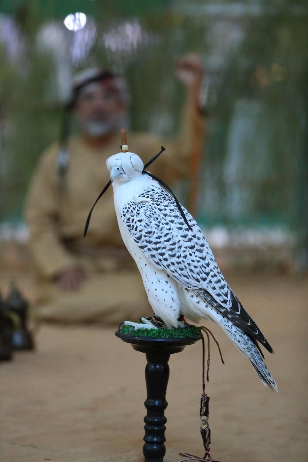 معرض أبوظبي الدولي للصيد والفروسية يُطلق مُسابقة أجمل وأفضل وكر تقليدي للصقور