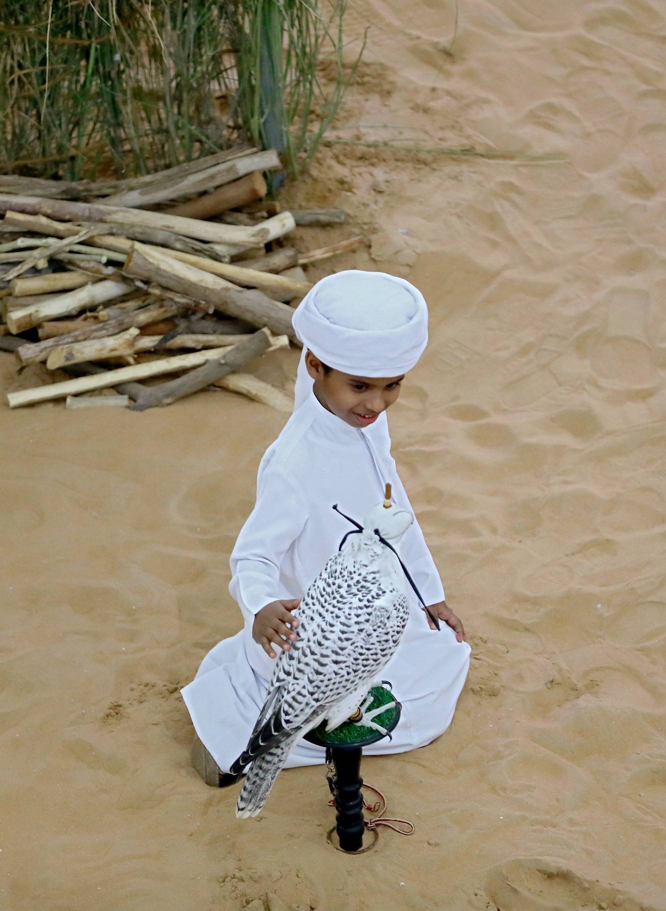 معرض أبوظبي الدولي للصيد والفروسية يُطلق مُسابقة أجمل وأفضل وكر تقليدي للصقور