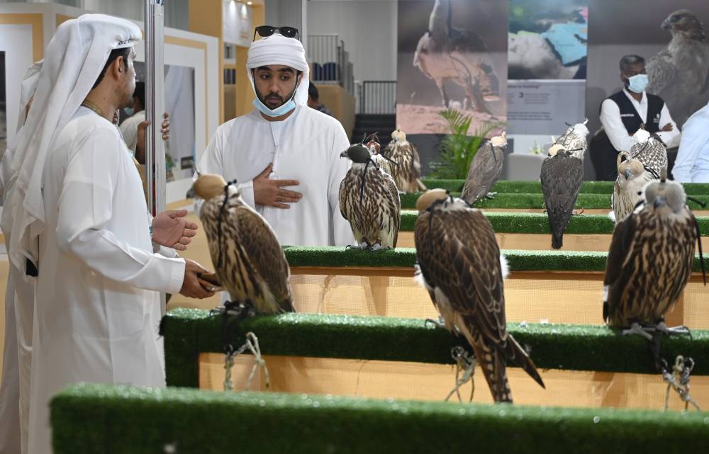 معرض أبوظبي الدولي للصيد يُطلق نسخة ثانية من مُسابقة أجمل برقع للصقور 