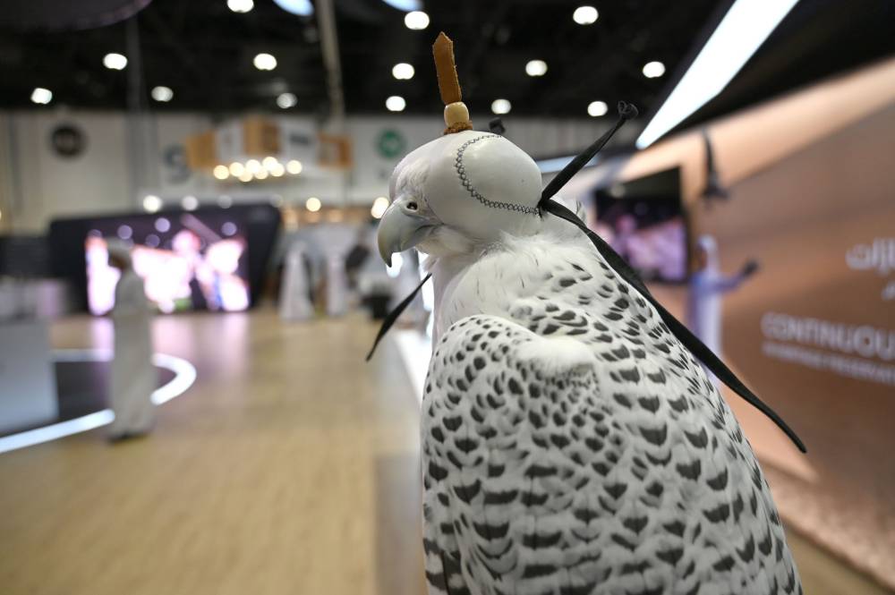 معرض أبوظبي الدولي للصيد يُطلق نسخة ثانية من مُسابقة أجمل برقع للصقور 