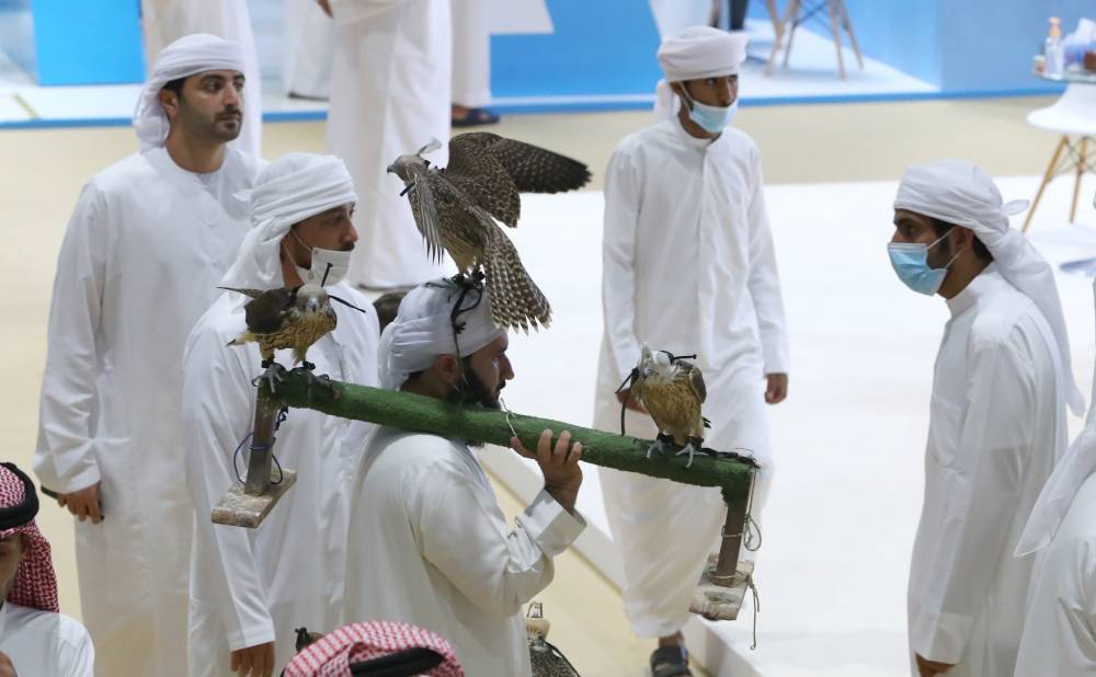 معرض أبوظبي للصيد منصّة عالمية لتلبية احتياجات الصقارين المُتزايدة من الصقور المكاثرة في الأسر 