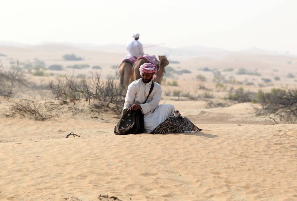 معرض أبوظبي للصيد يُطلق مُسابقة:   أفضل مجموعة متكاملة من أدوات الصقارة لرحلات المقناص 