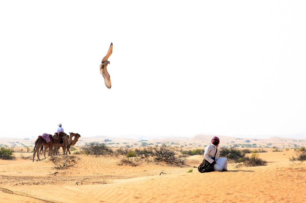 معرض أبوظبي للصيد يُطلق مُسابقة:   أفضل مجموعة متكاملة من أدوات الصقارة لرحلات المقناص 