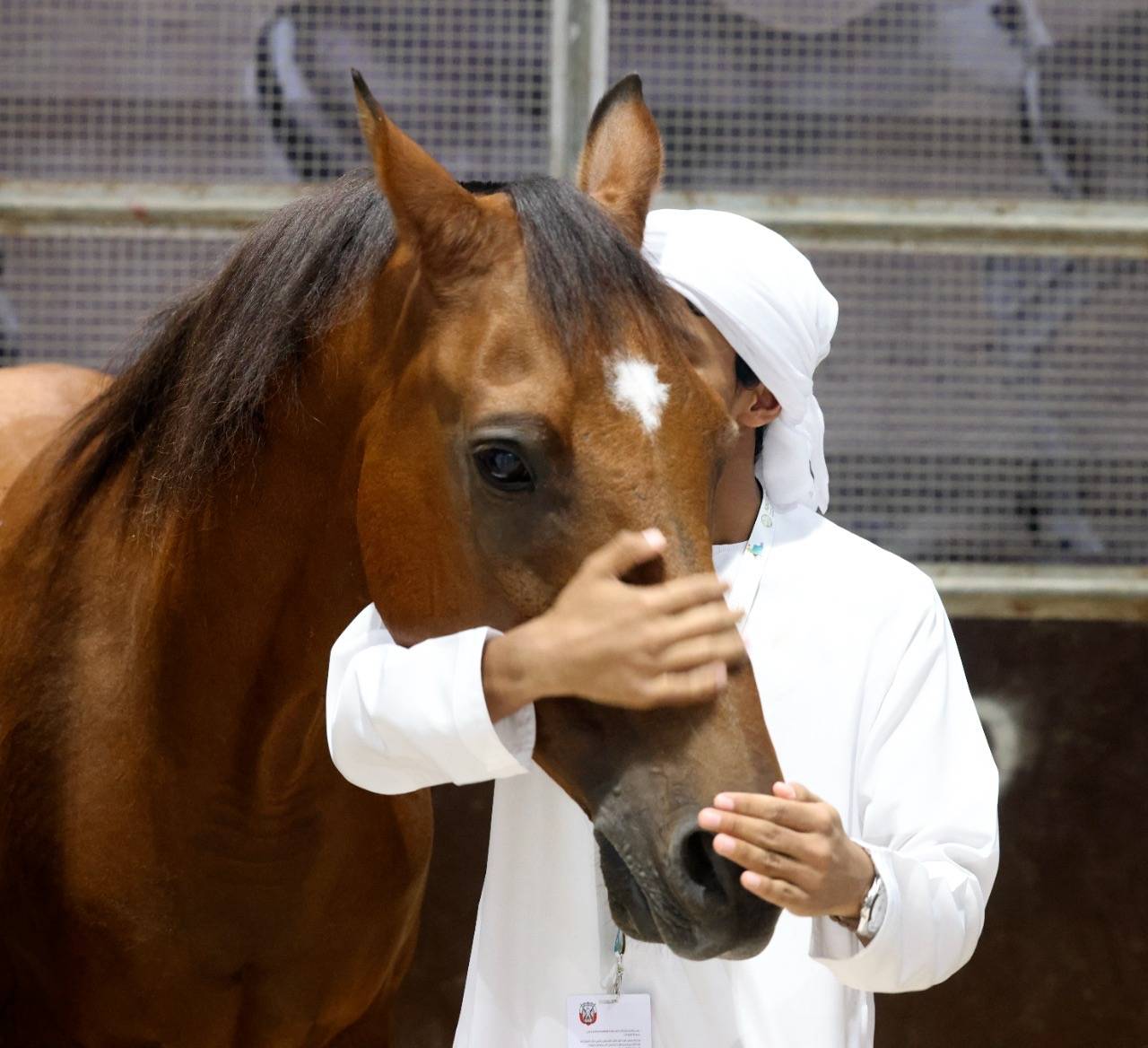2 سبتمبر المقبل موعد انطلاق معرض أبوظبي الدولي للصيد والفروسية