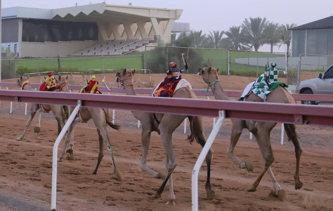 منافسات سباق سن الفطامين تتواصل بميدان الذيد