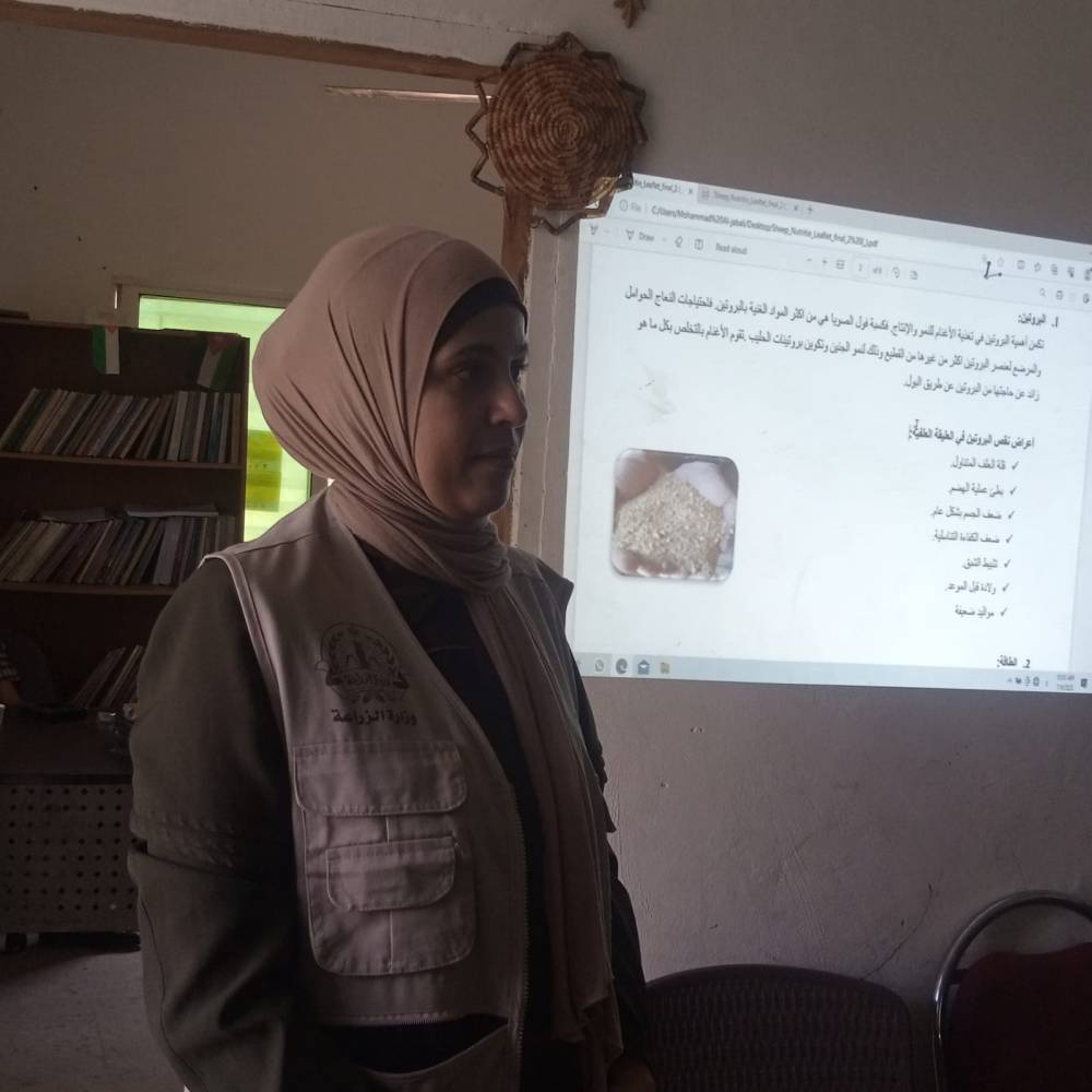 ضمن مشروع الإستثمار في المجترات الصغيرة المهندسة ياسمين الجبالي تحاضر في جمعية سيدات حلاوة حول الاحتياجات الغذائية للأغنام