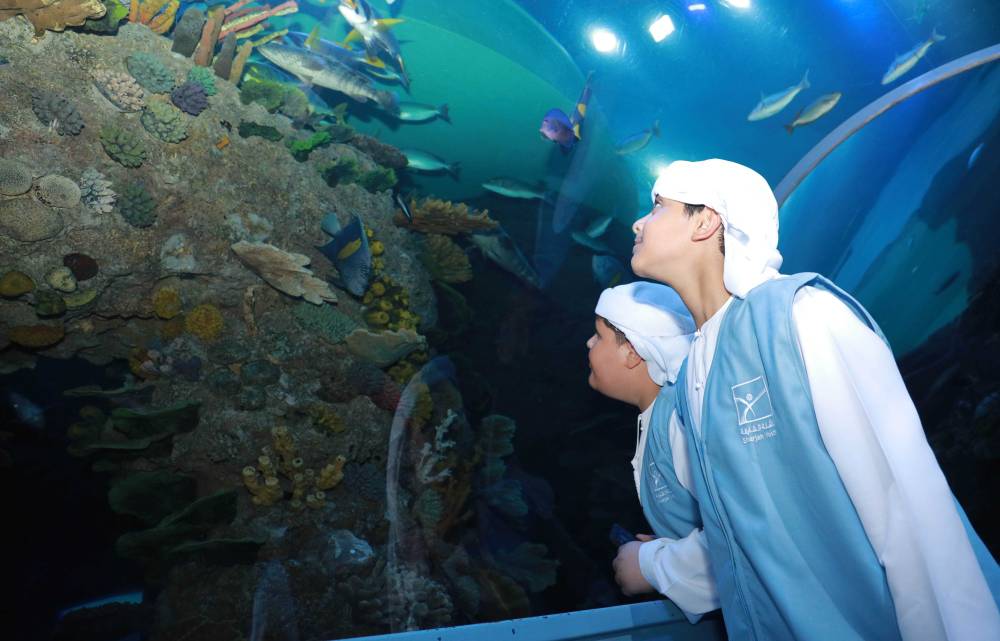 250 نشاطاً وبرنامجاً بفعاليات صيفك ويانا لناشئة الشارقة