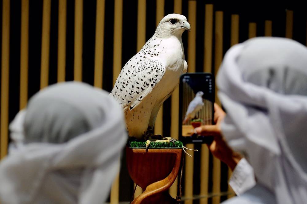 معرض أبوظبي للصيد يُعلن عن مُسابقة أجمل صورة فوتوغرافية لفعاليات 2023 