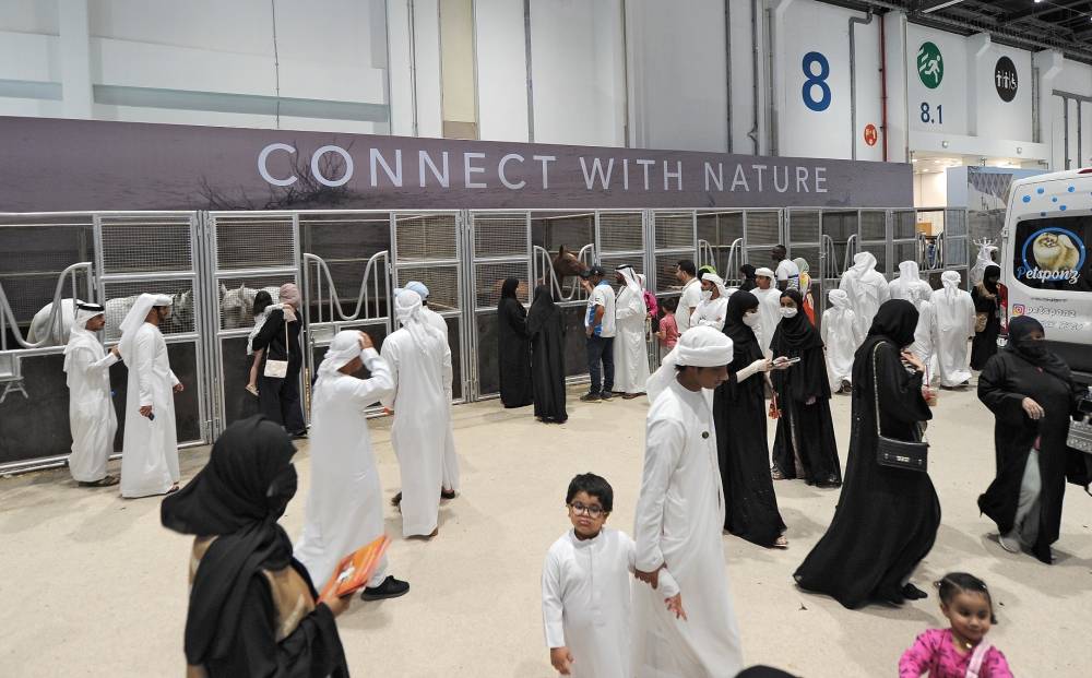 عروض تراثية ورياضية حيّة تنتظر زوار معرض أبوظبي الدولي للصيد 