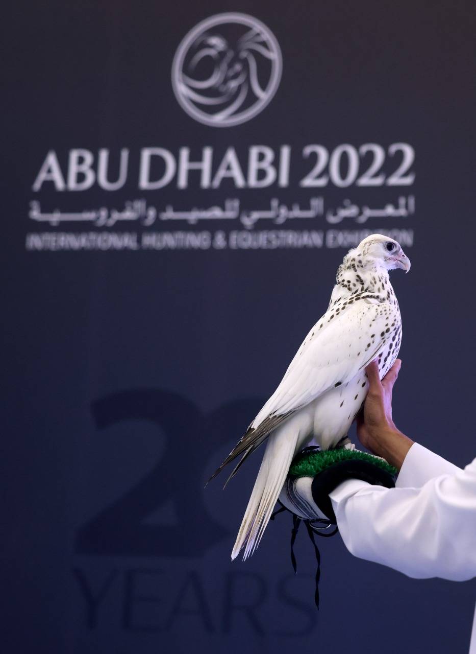 صقارو العالم يجتمعون في أبوظبي بمزاد جديد للصقور
