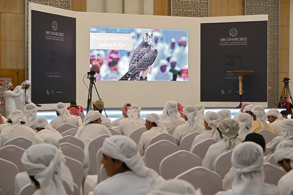 صقارو العالم يجتمعون في أبوظبي بمزاد جديد للصقور