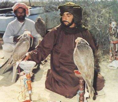 زايد والصيد المُستدام قصة تميّز إماراتية على مستوى العالم.