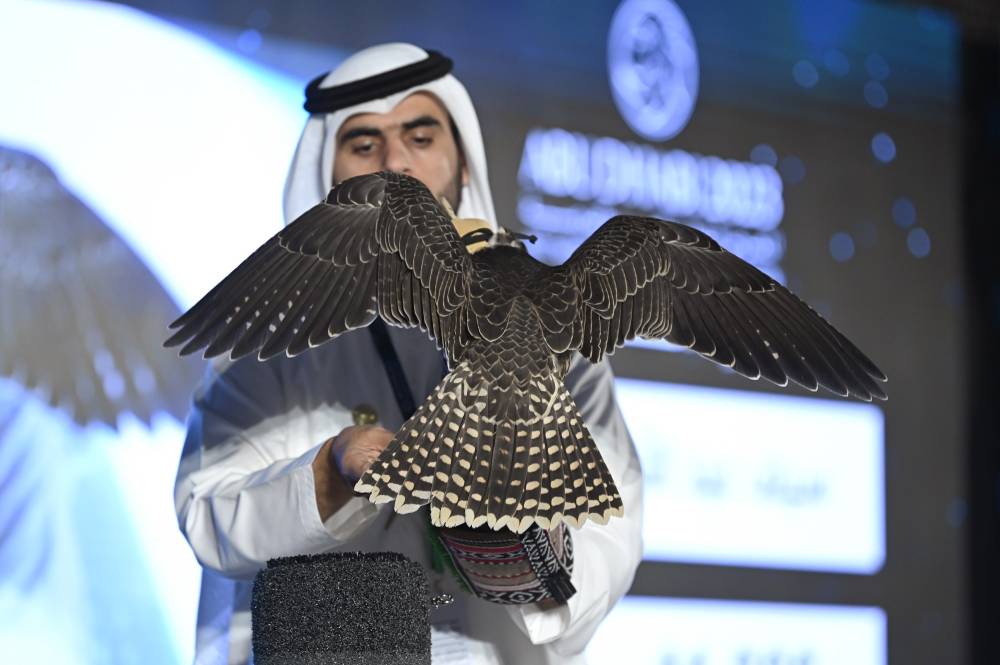 معرض أبوظبي الدولي للصيد يُنظّم أكبر مزاد للصقور المكاثرة في الأسر في تاريخه