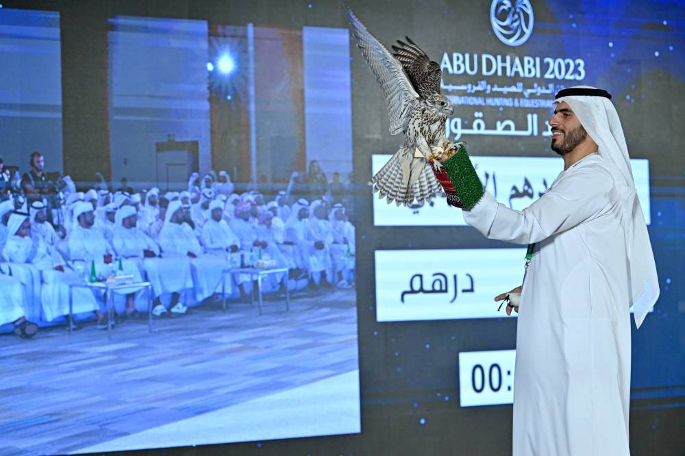 مزاد الصقور بمعرض أبوظبي للصيد يبيع 70 صقراً في أمسية 