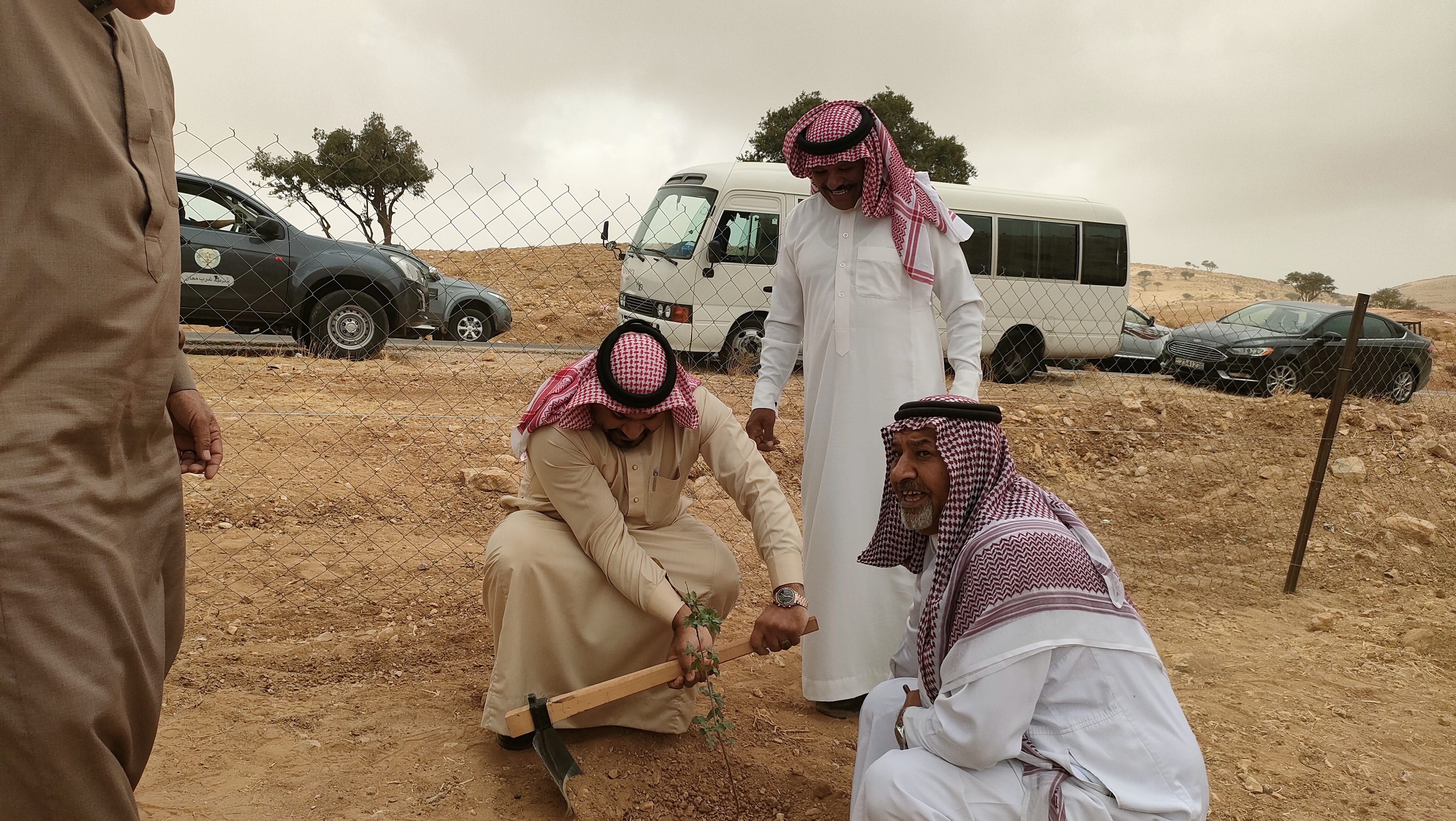 مديرية زراعة اقليم البترا وبتعاون مع القطاع الخاص تقوم بزرع اشجار البلوط في منطقة الهيشه 