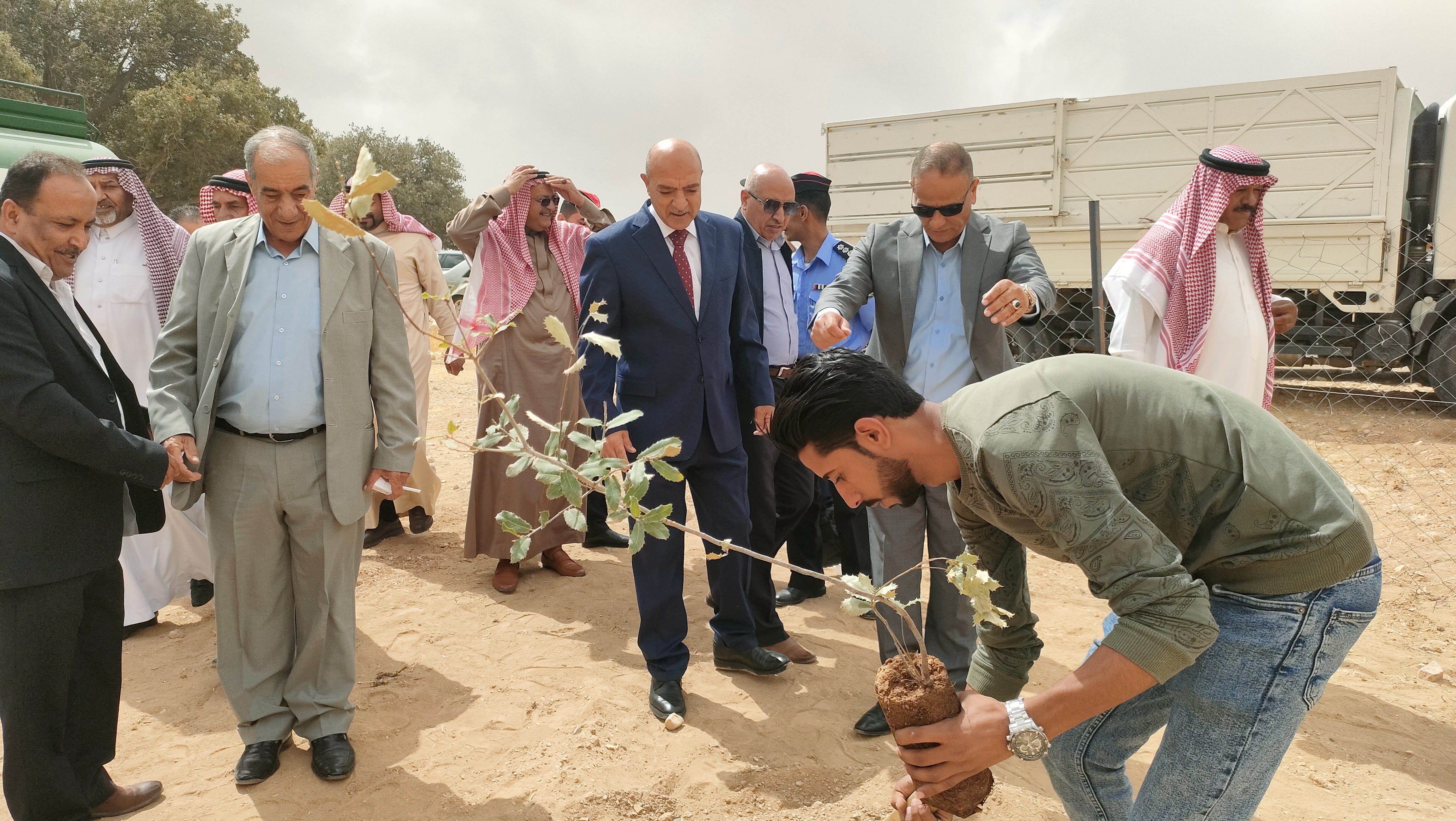 مديرية زراعة اقليم البترا وبتعاون مع القطاع الخاص تقوم بزرع اشجار البلوط في منطقة الهيشه 