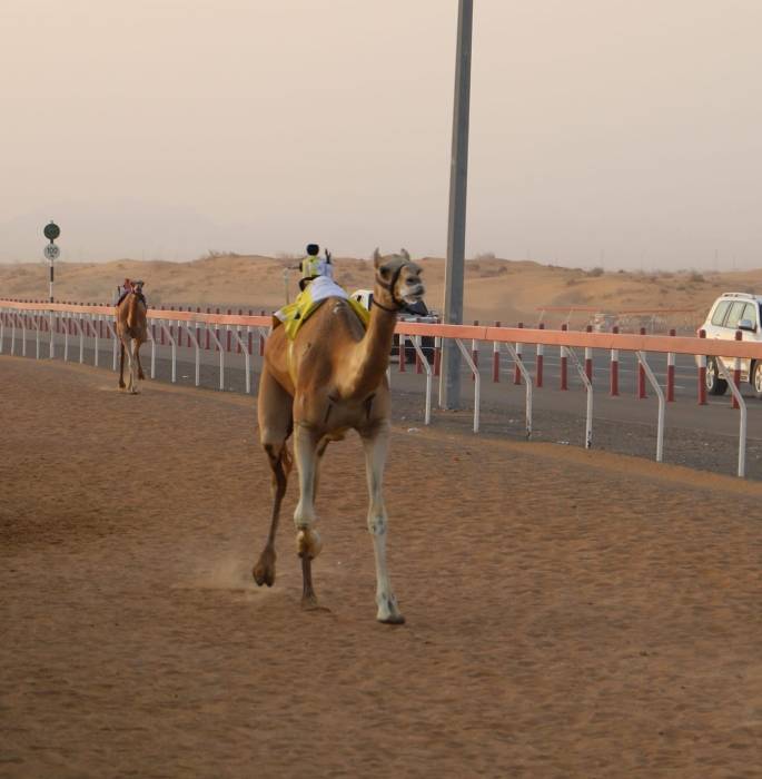 تواق تحقق أفضل توقيت في تحديات الايذاع بميدان الذيد