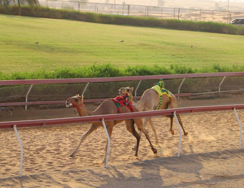 تواق تحقق أفضل توقيت في تحديات الايذاع بميدان الذيد