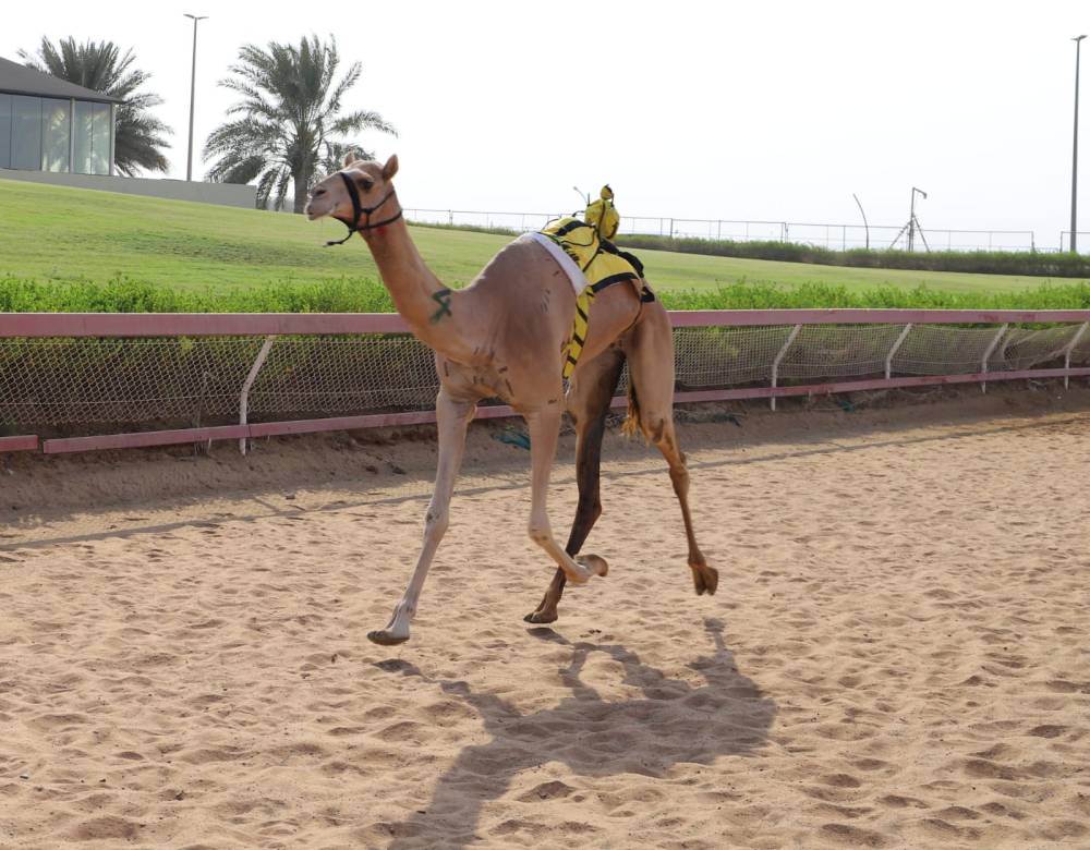 تواق تحقق أفضل توقيت في تحديات الايذاع بميدان الذيد