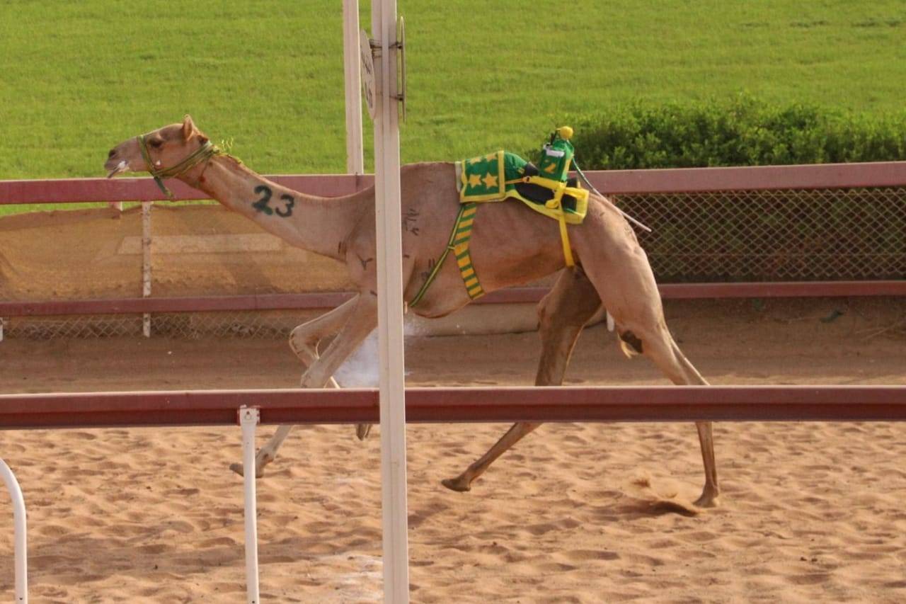 انطلاق منافسات سن الثنايا بميدان الذيد