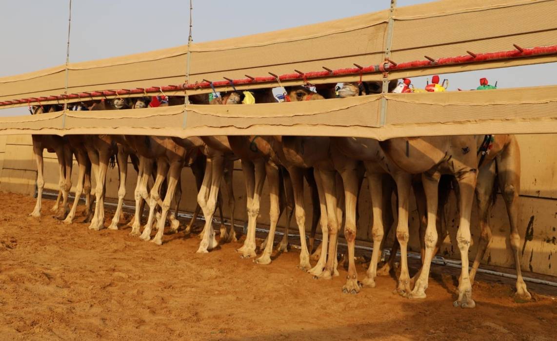 هبايب تحقق أفضل توقيت في تحديات سن الحول والزمول بميدان الذيد