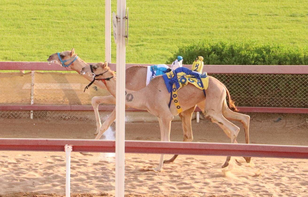انطلاقة مثيرة لسن الحقايق بميدان الذيد