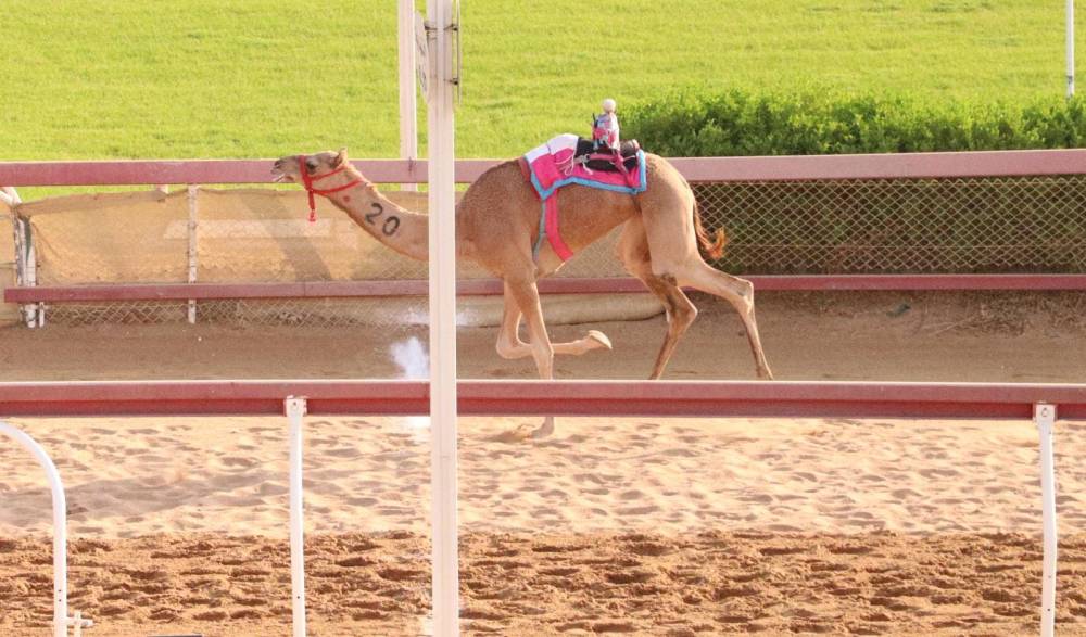انطلاقة مثيرة لسن الحقايق بميدان الذيد