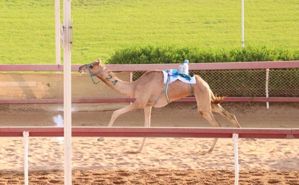 انطلاقة مثيرة لسن الحقايق بميدان الذيد