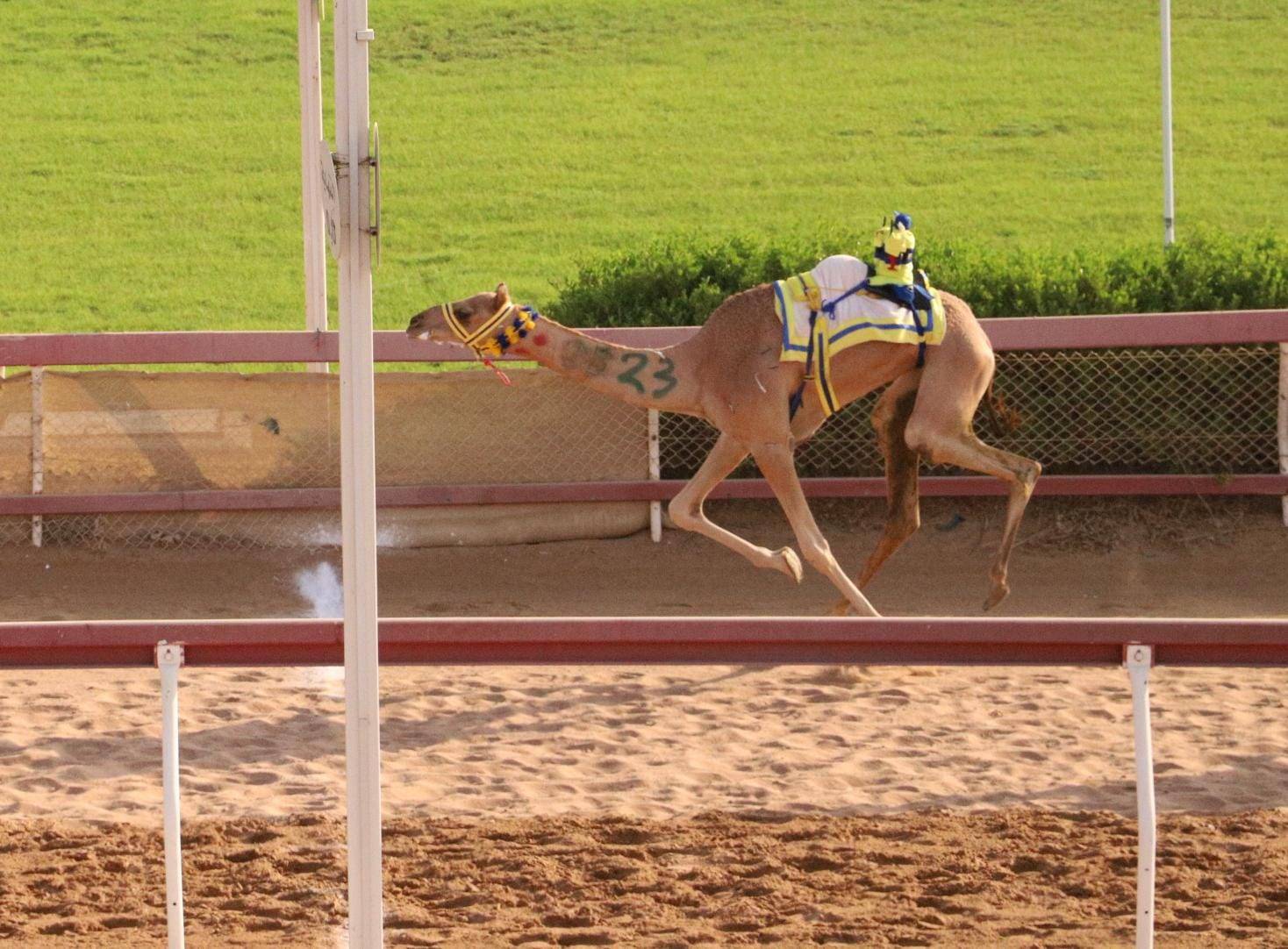 انطلاقة مثيرة لسن الحقايق بميدان الذيد