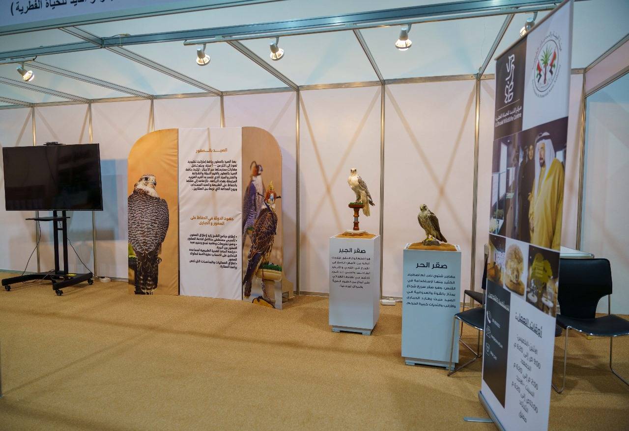 معرض الأصايل يواصل فعالياته لليوم الثالث وسط عرض متميز لفنون الصيد والصقارة 