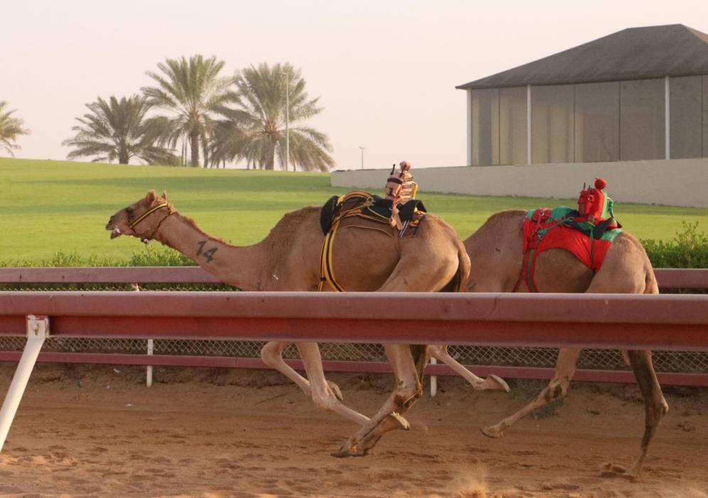 البطران يحقق افضل توقيت في تحديات سن اللقايا بميدان الذيد