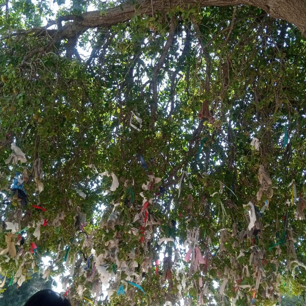 في مار الياس هل تتحقق أمانيكم في زمن الأمنيات ؟