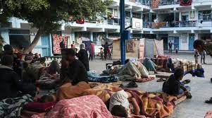 مسؤولة أممية: غزة تمر بأوضاع وحشية غير مسبوقة في تاريخ البشرية