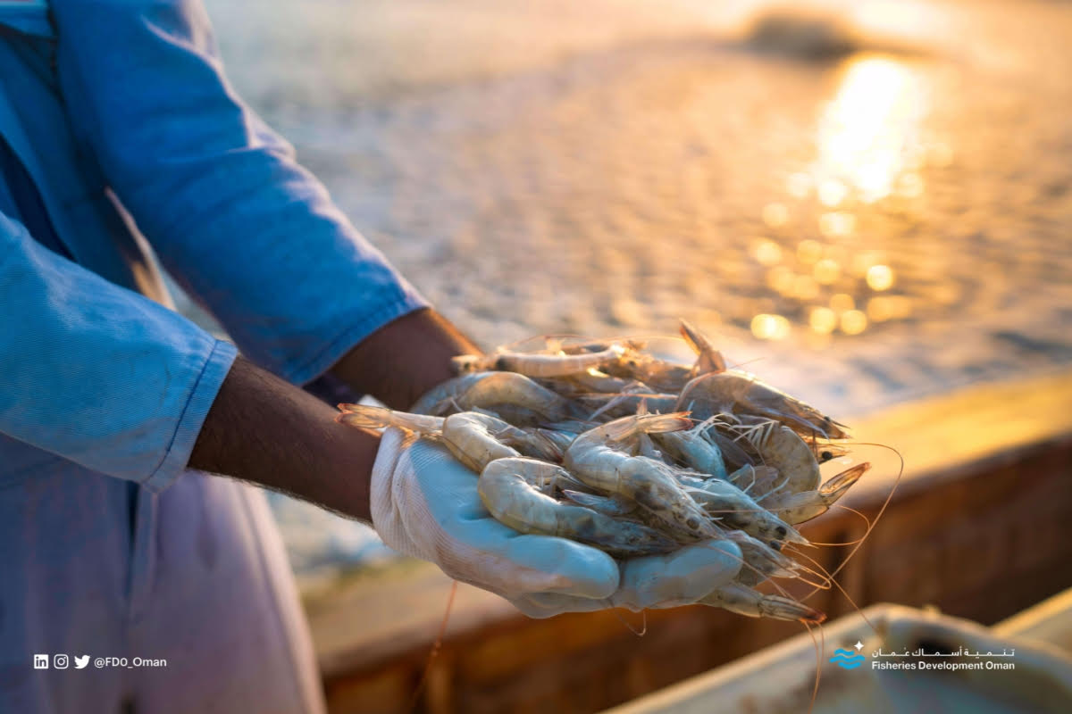 تنمية أسماك عُمان والشركات التابعة لها تستعد لاستعراض ابتكاراتها المستدامة في النسخة الخامسة من المعرض الزراعي الغذائي العُماني