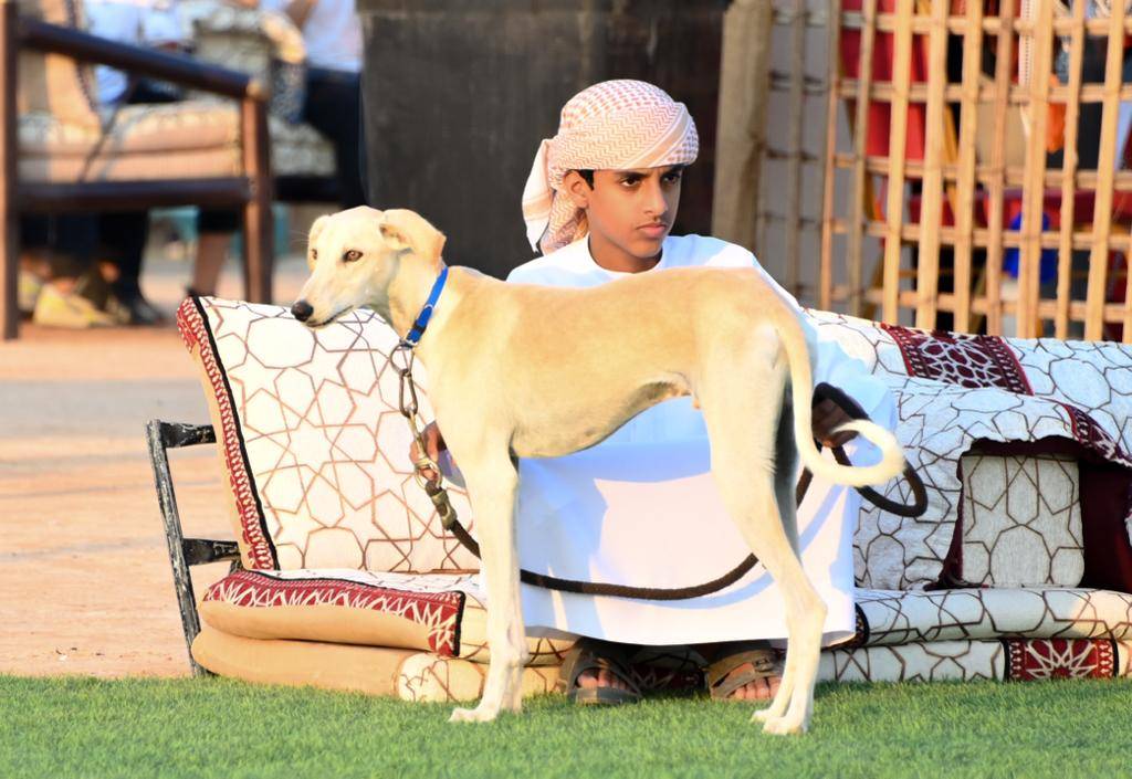 مهرجان السلع البحري.. ألعاب شعبية ومسابقات شاطئية ويولة تعزز مشاركة الشباب