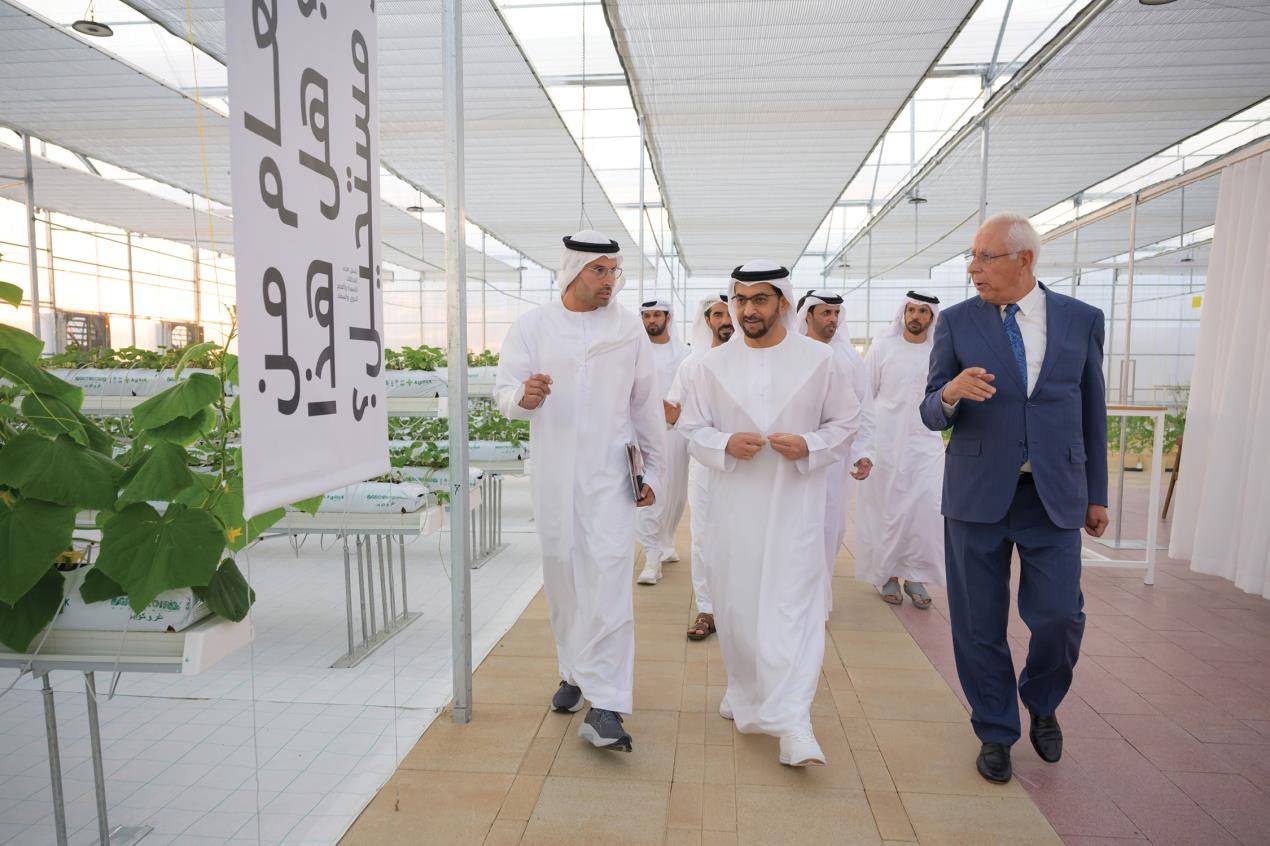 حمدان بن زايد يزور مهرجان ليوا الدولي تل مرعب 2024