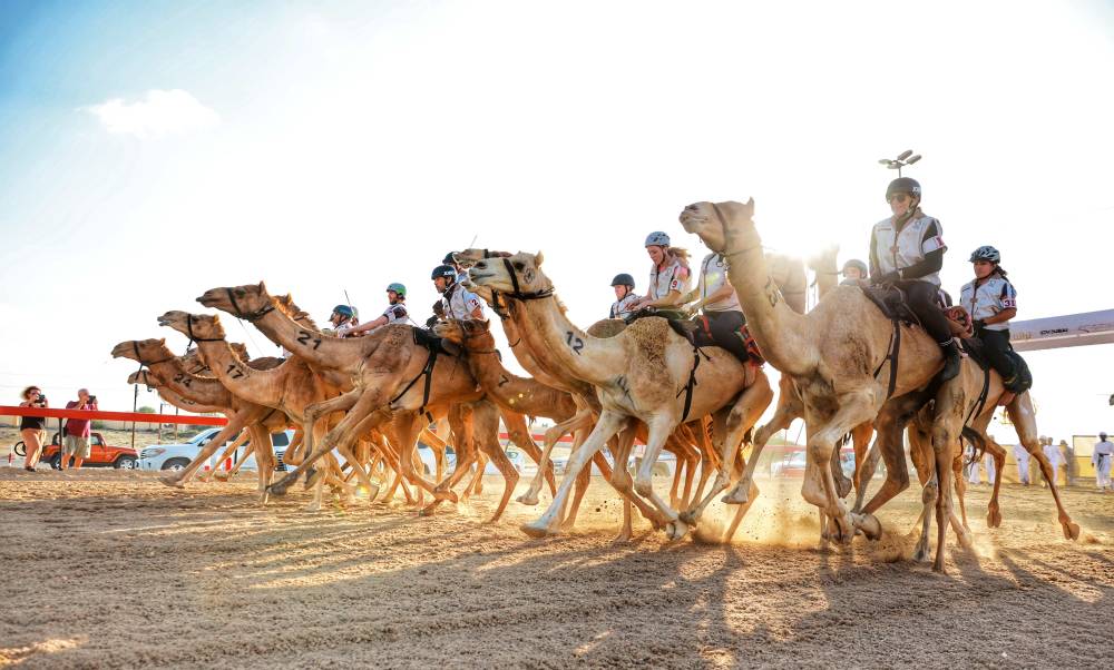 29  متسابقًا من 18 جنسية في  التمهيدي الثاني لماراثون رحلة الهجن لغير المواطنين الذهب من نصيب ألمانيا والصين  