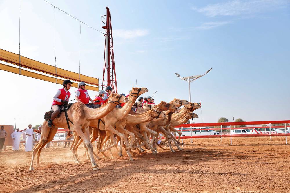 ماراثون رحلة الهجن ضمن مهرجان محمد بن زايد لسباقات الهجن العربية الأصيلة 32 متسابق من 18 جنسية مختلفة والذهب لأستونيا وفرنسا  