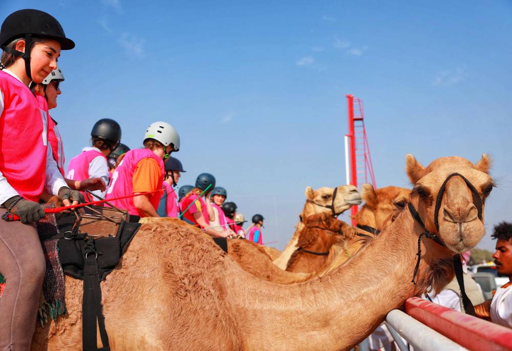 ماراثون رحلة الهجن ضمن مهرجان محمد بن زايد لسباقات الهجن العربية الأصيلة 32 متسابق من 18 جنسية مختلفة والذهب لأستونيا وفرنسا  