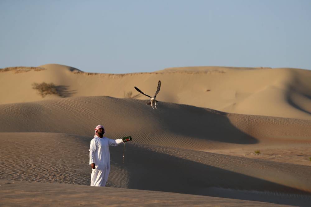 محمية المرزوم للصيد تواصل استقبال الصقارينوهواة الصيد التقليدي في موسمها التاسع