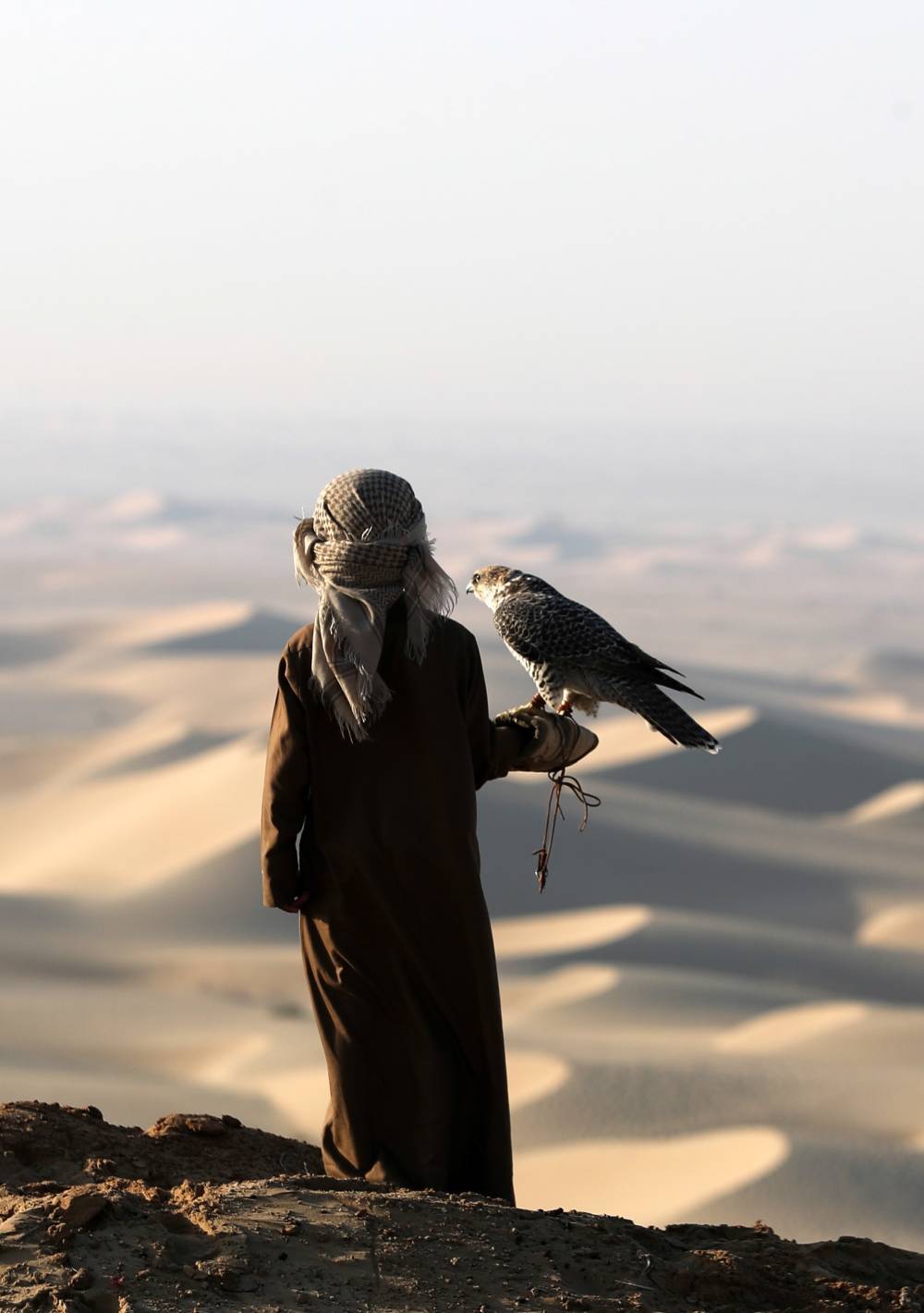 محمية المرزوم للصيد تواصل استقبال الصقارينوهواة الصيد التقليدي في موسمها التاسع