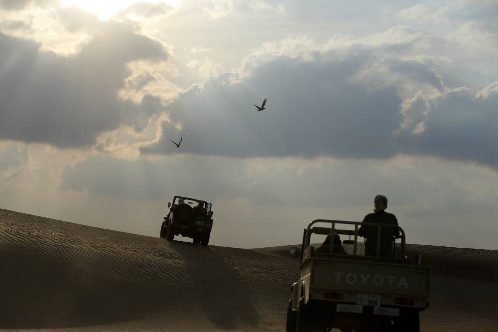 محمية المرزوم للصيد تواصل استقبال الصقارينوهواة الصيد التقليدي في موسمها التاسع