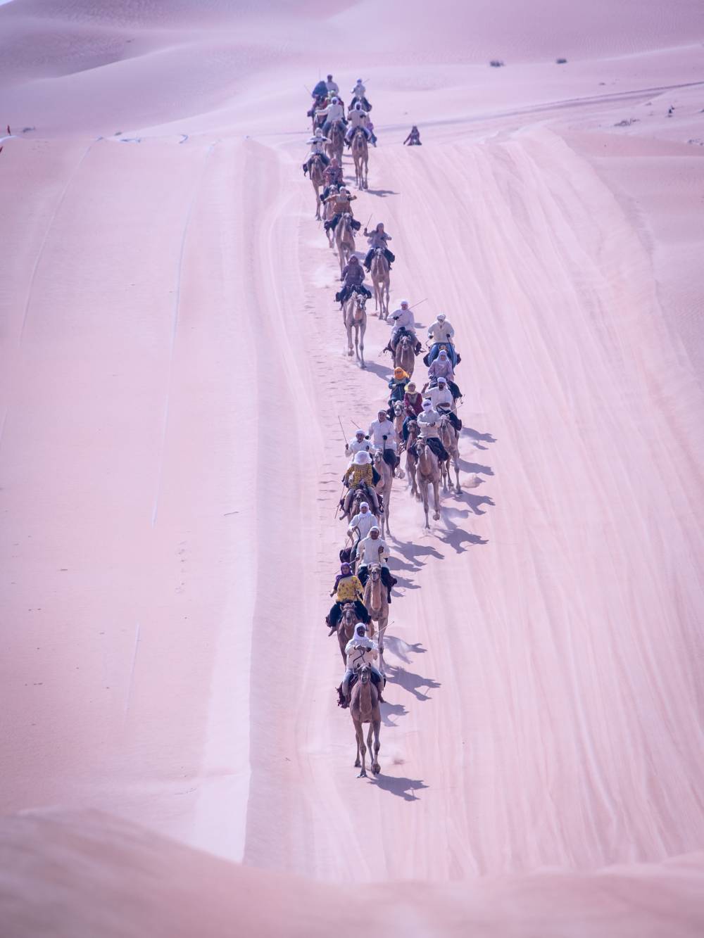 النسخة العاشرة من رحلة الهجن في طريق العودة إلى دبي