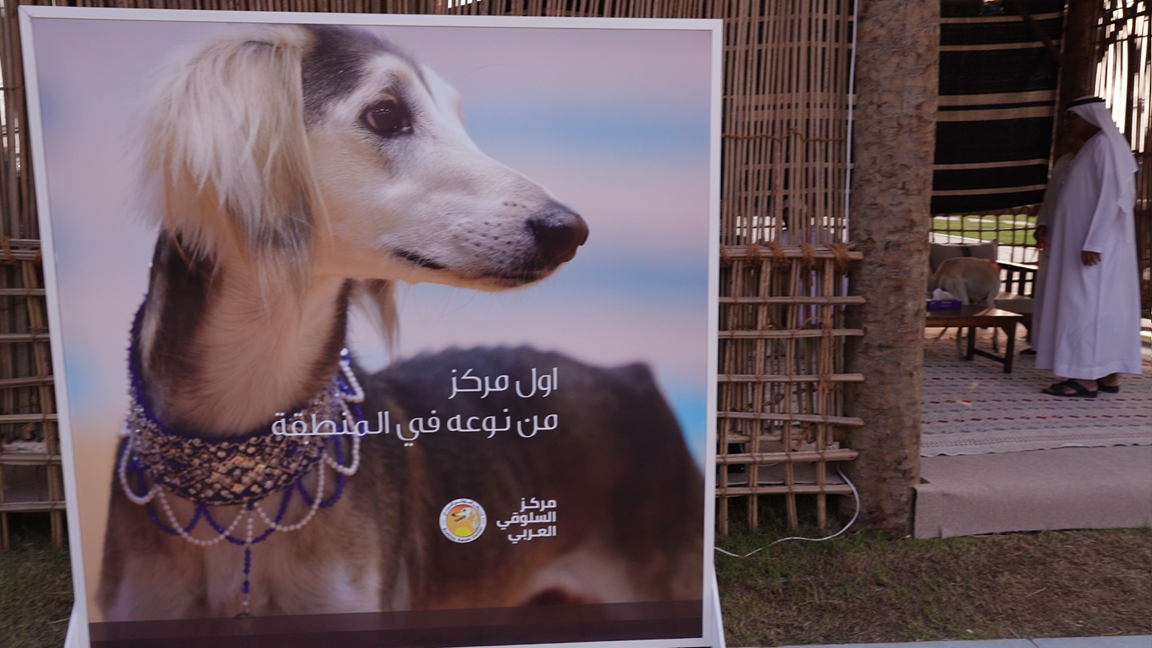 نادي صقاري الإمارات يُرحّب بزوّار مهرجان الشيخ زايد