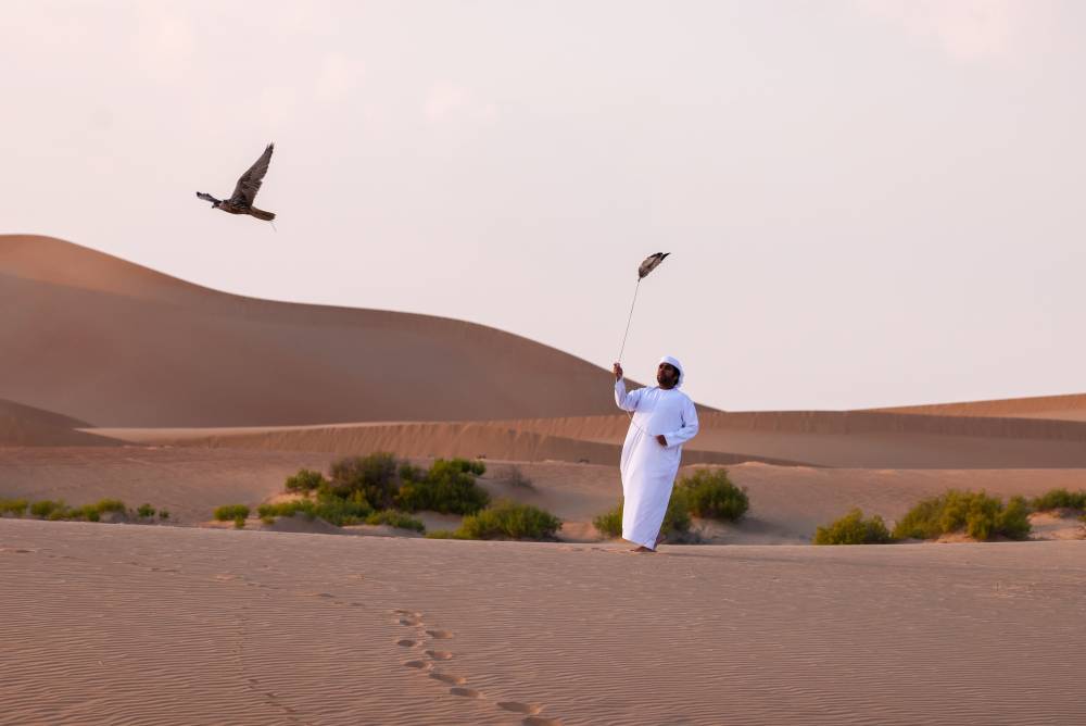 بمباركة من سمو الشيخ حمدان بن زايد.. نادي صقاري الإمارات يُنظّم فعاليات مخيم الصقارة الإماراتي-الياباني المُشترك  