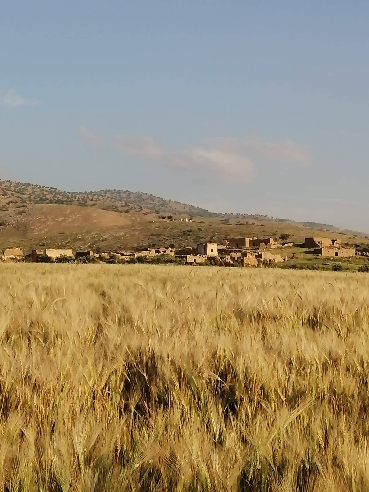 بيوت كركمة التراثية...إرث حضاري بحاجة للترميم  صور